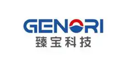 重庆臻宝科技股份有限公司